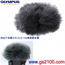 代購,OLYMPUS WJ4(日本國內款):::LS-100專用原廠防風罩,刷卡不加價或3期零利率,WJ-4