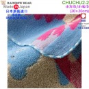 【金響日貨】RAINBOW BEAR CHUCHU2-2(日本原裝):::日本製,彩虹熊,小方巾,小毛巾,手帕,今治毛巾認證,刷卡或3期,4571309081763